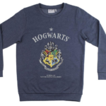 Sudadera Harry Potter