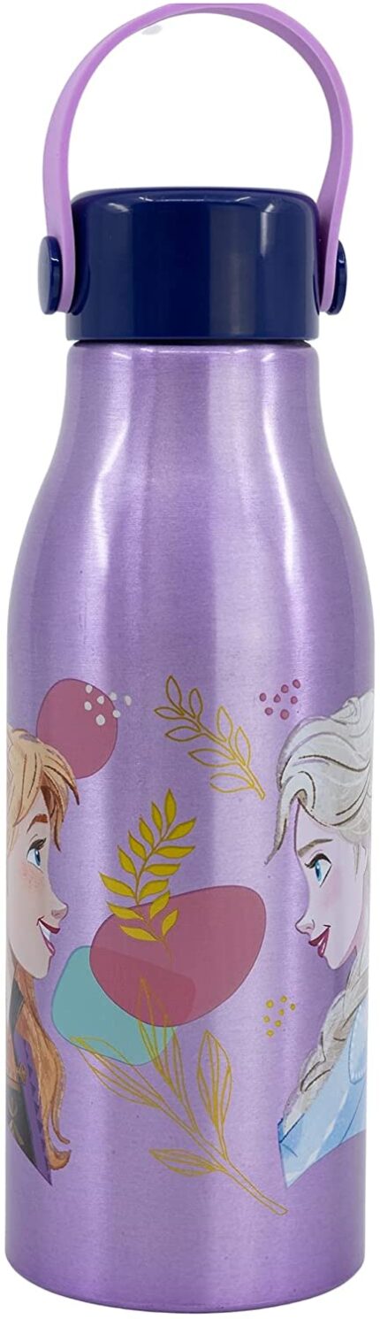 Botella Infantil Aluminio Frozen ll Disney 760ml Con Asa