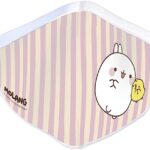Mascarilla Higienica Reutilizable Lavable Molang