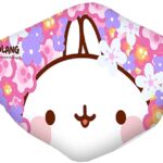 Mascarilla Higienica Reutilizable Lavable Molang